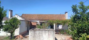 Roof Installation Professional