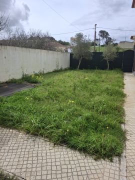 Artificial Turf Specialist