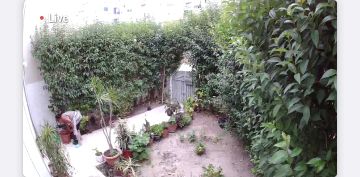 Podador de Árvores