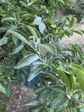 Jardinagem e Relvados