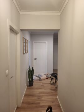 Interior Painting