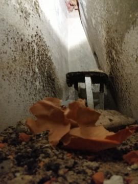Chaminés, Lareiras e Salamandras