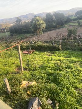 Serviço de Jardinagem - Casa