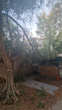 Jardinagem e Relvados