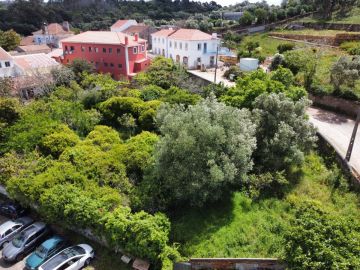 Limpeza de Terrenos - Jardinagem e Relvados