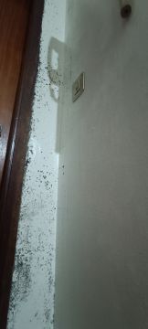 Obras em Casa
