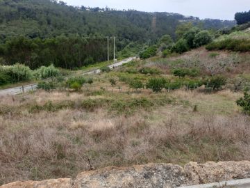 Limpeza de Terrenos