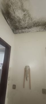 Especialista de Obras - Casa