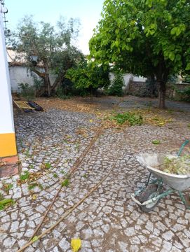 Serviço de Jardinagem