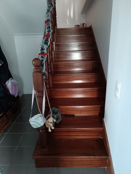 Especialista em Escadas