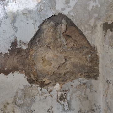 Plaster Specialist