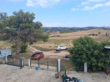 Especialista de Limpeza de Terrenos