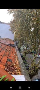 Gutter Cleaner