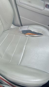 Garnisseur automobile