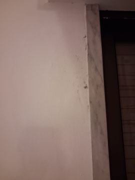 Pintura de Interiores