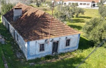Roof Installation Professional