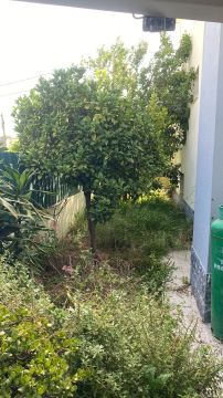 Lawncare - Home Improvements