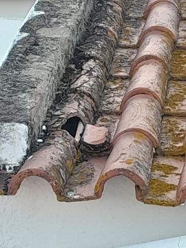 Bauunternehmer