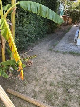 Jardinagem e Relvados