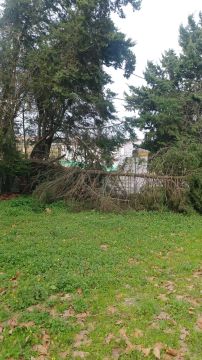 Jardinagem e Relvados
