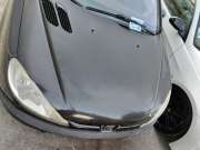 Car Painter