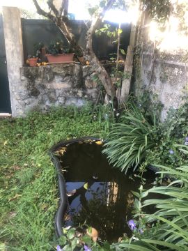 Serviço de Jardinagem
