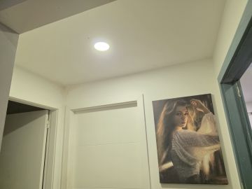 Pintura