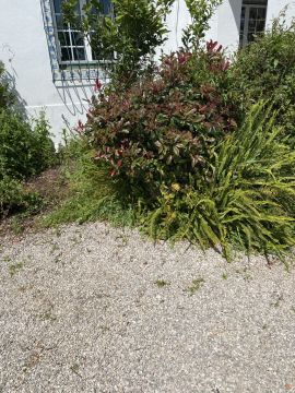 Gardening