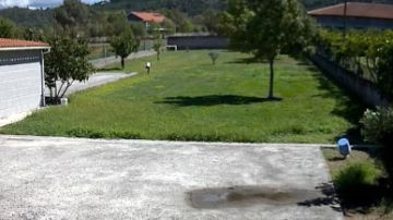 Serviço de Jardinagem