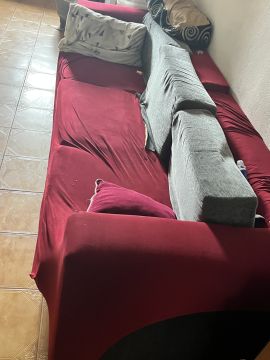 Especialista em Remoção de Lixo e Entulho