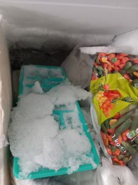 Refrigerator Repairman