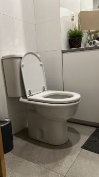Toilet Installation