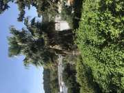 Lawncare