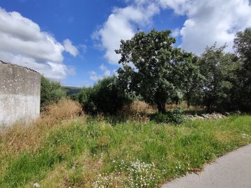 Especialista de Limpeza de Terrenos