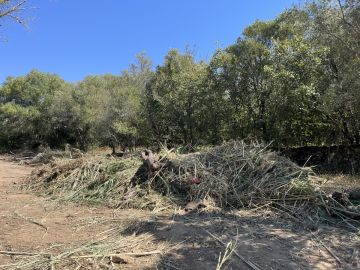 Especialista em Remoção de Lixo e Entulho