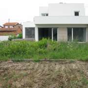 joaquim gouveia - Castelo de Paiva - Shrub Removal