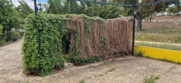 Gartenarbeit