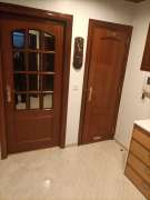 Door Painter