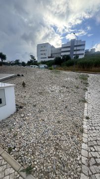 Serviço de Jardinagem