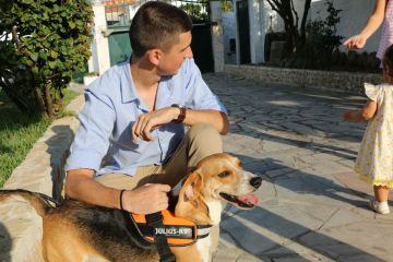 Dog Hotel