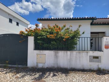 Jardinagem