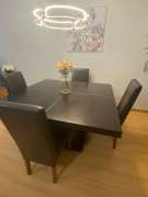 Cabinet Painter