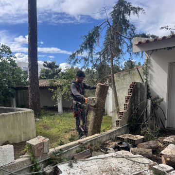 Felipe jardins - Almada - Mantenimiento del sistema de riego por goteo