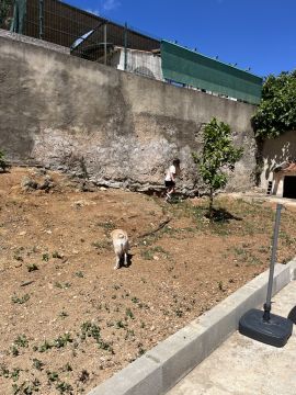 Serviço de Jardinagem - Casa