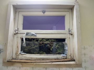 Monteur für PVC Fenster