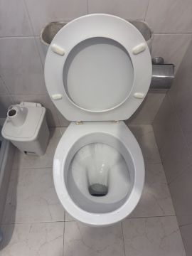 Canalizador (Reparação de Sanita)