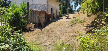 Instalação de Cerca para Cães