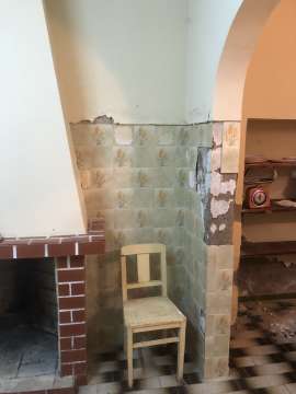 Plaster Specialist