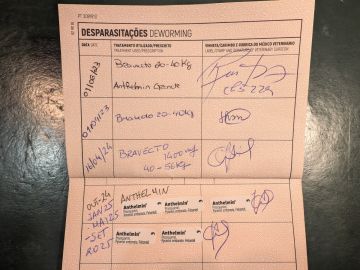 Pension et garderie pour animaux