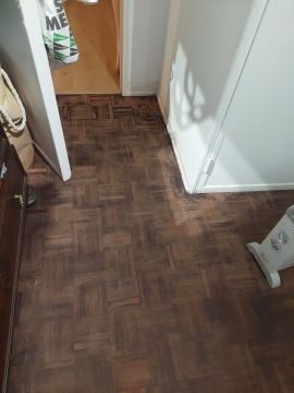 Técnico de Pisos em Madeira